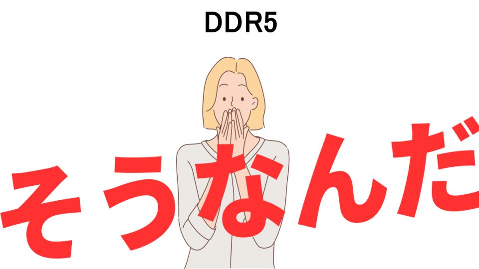 意味ないと思う人におすすめ！DDR5の代わり